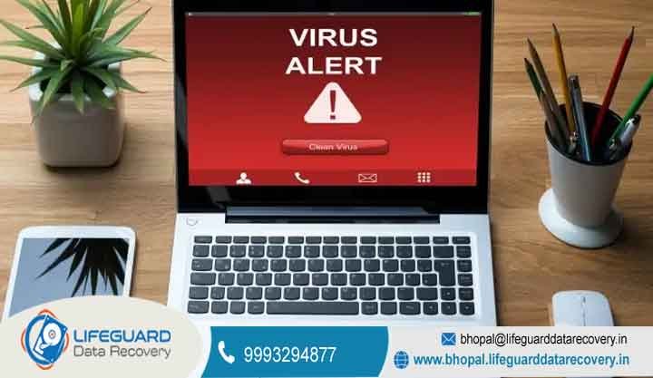 laptop virus removal cost bhopal