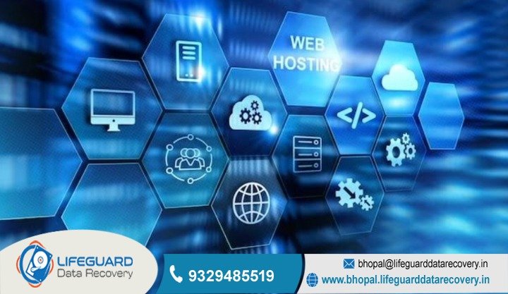 lifeguard IT services Bhopal review