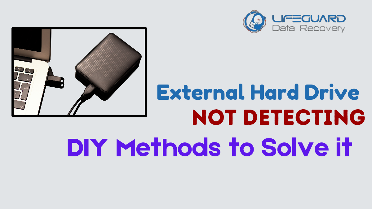 External Hard drive not detecting