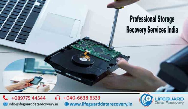Professional Storage Recovery Services India Professional Data Recovery Services India