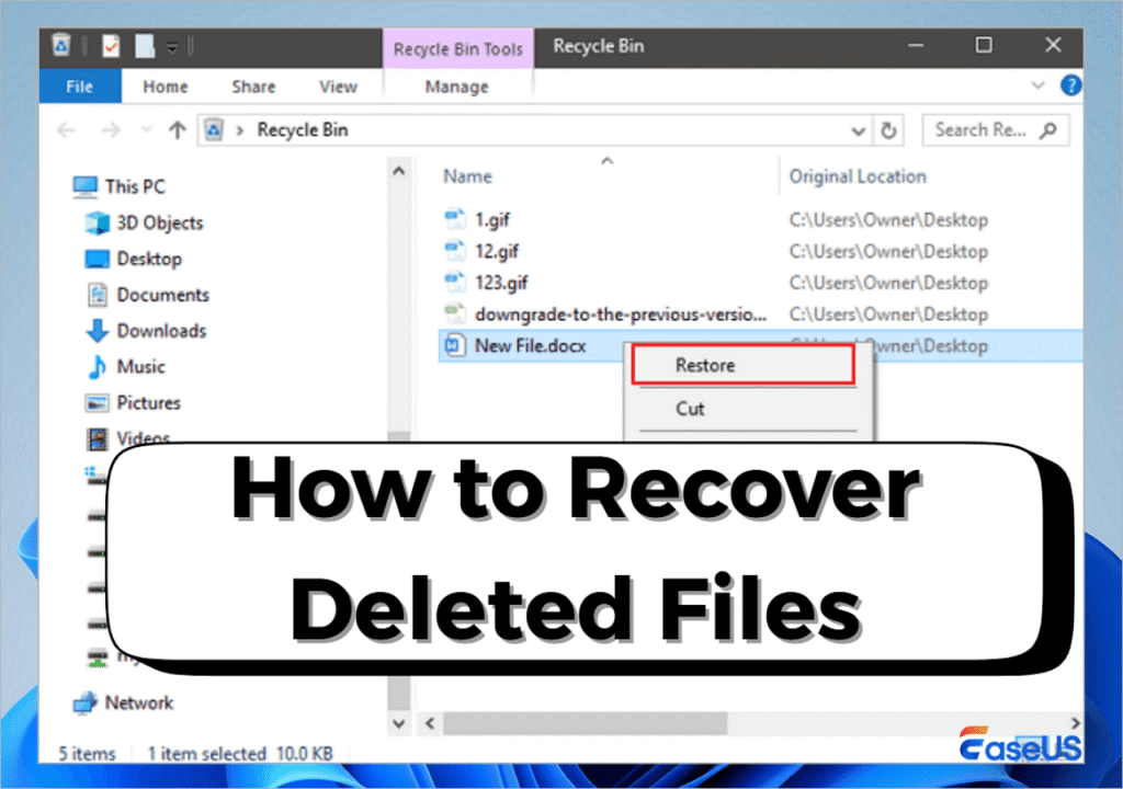 How to Recover Deleted Files India