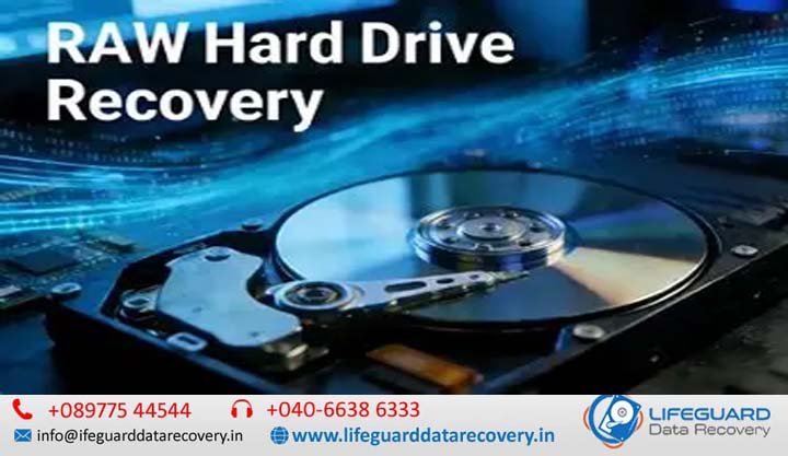 HDD RAW drive recovery India